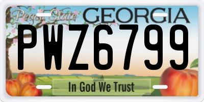 GA license plate PWZ6799