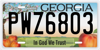 GA license plate PWZ6803