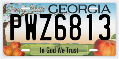 GA license plate PWZ6813