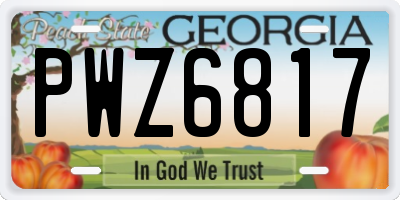 GA license plate PWZ6817