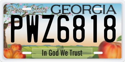 GA license plate PWZ6818