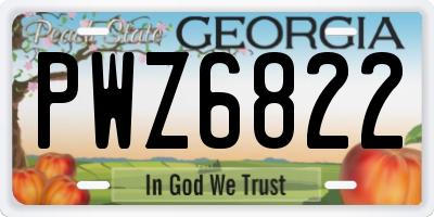 GA license plate PWZ6822