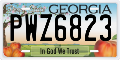 GA license plate PWZ6823