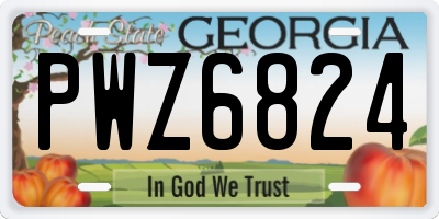 GA license plate PWZ6824