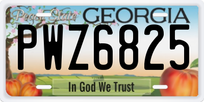 GA license plate PWZ6825