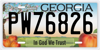 GA license plate PWZ6826