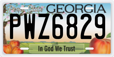 GA license plate PWZ6829