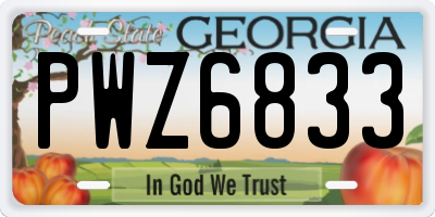 GA license plate PWZ6833