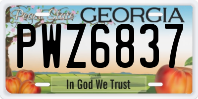 GA license plate PWZ6837