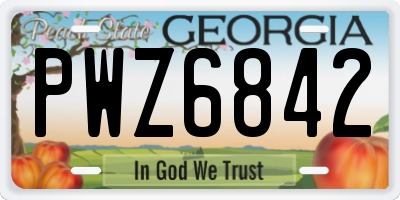 GA license plate PWZ6842
