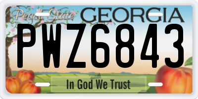 GA license plate PWZ6843