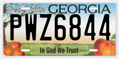 GA license plate PWZ6844