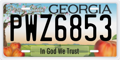 GA license plate PWZ6853