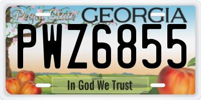 GA license plate PWZ6855
