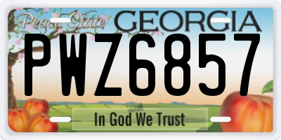 GA license plate PWZ6857