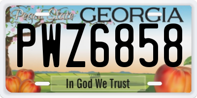GA license plate PWZ6858