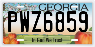 GA license plate PWZ6859