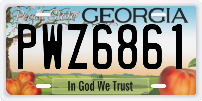 GA license plate PWZ6861
