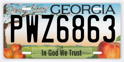 GA license plate PWZ6863