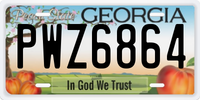 GA license plate PWZ6864