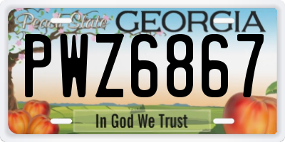 GA license plate PWZ6867