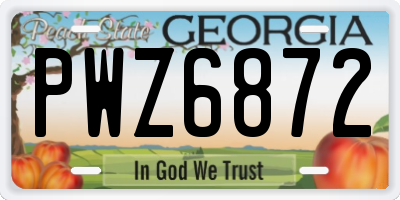 GA license plate PWZ6872