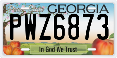 GA license plate PWZ6873