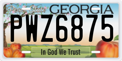 GA license plate PWZ6875