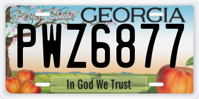 GA license plate PWZ6877