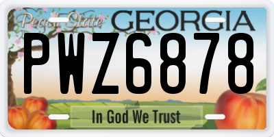 GA license plate PWZ6878