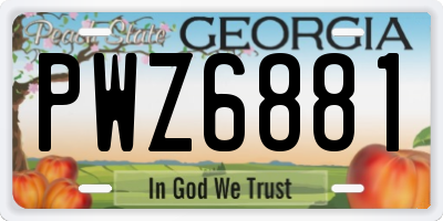 GA license plate PWZ6881