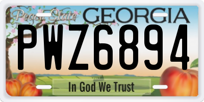GA license plate PWZ6894