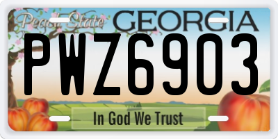 GA license plate PWZ6903