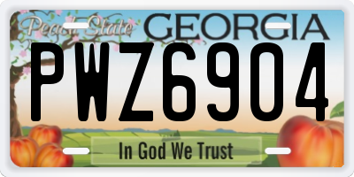 GA license plate PWZ6904