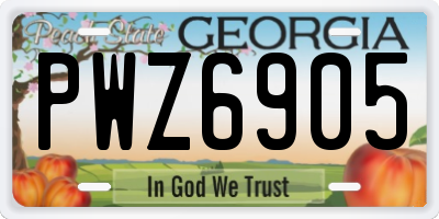 GA license plate PWZ6905