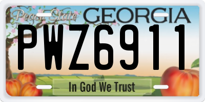 GA license plate PWZ6911