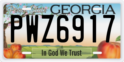 GA license plate PWZ6917