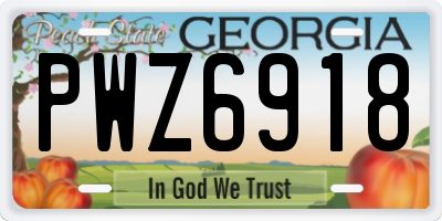 GA license plate PWZ6918