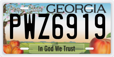 GA license plate PWZ6919