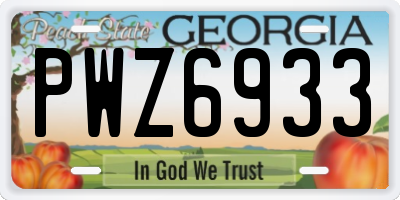 GA license plate PWZ6933