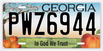 GA license plate PWZ6944