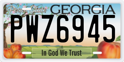 GA license plate PWZ6945
