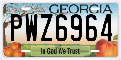 GA license plate PWZ6964