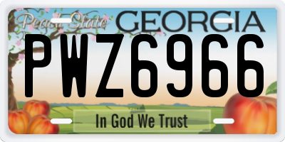 GA license plate PWZ6966