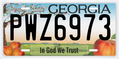 GA license plate PWZ6973