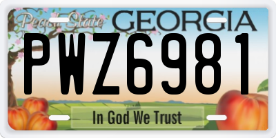GA license plate PWZ6981