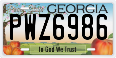 GA license plate PWZ6986