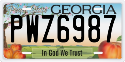 GA license plate PWZ6987