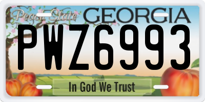 GA license plate PWZ6993