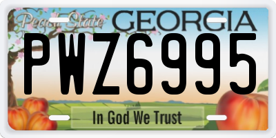 GA license plate PWZ6995